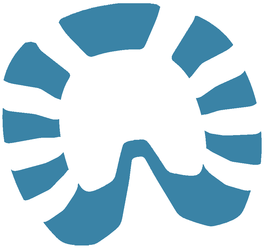 Abdruck von OKIE Hufschutz