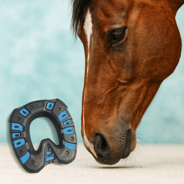 25. Februar 2026 - OKIE® LiveCheck